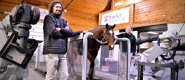 Partnering Through a Pandemic: Penn Vet’s New Bolton Center Launches Innovative Telehealth Service Amid COVID-19