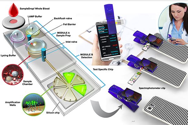 Smartphone-based Testing System, Initially Developed With Horse Pathogens, May Help With COVID-19