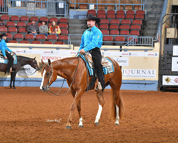 AQHA Announces New Zimeta™3-Year-Old Western Pleasure Stakes Class Coming to 2020 World Show