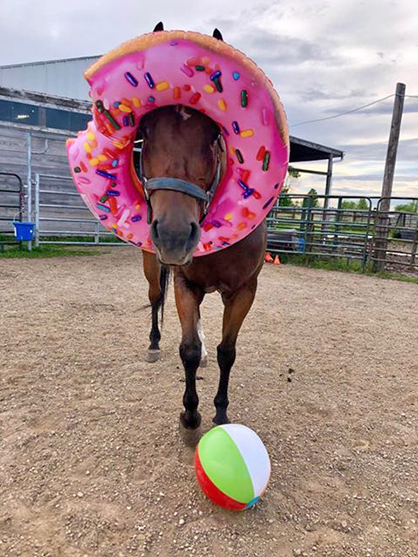 EC Photo of the Day- Quarantine Snacks!