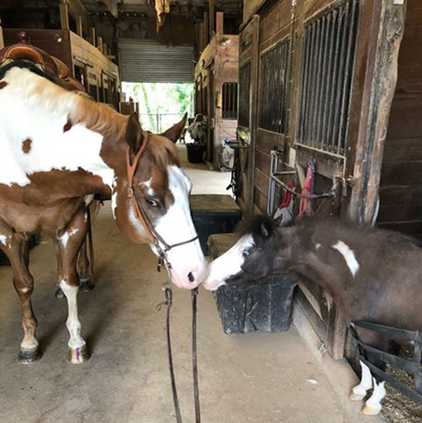 EC Photo of the Day- Best Buds