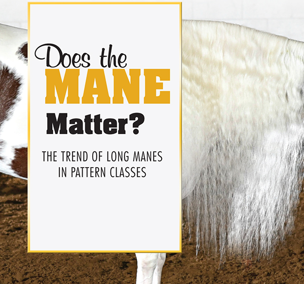 Does the Mane Matter? – The Trend of Long Manes in Pattern Classes