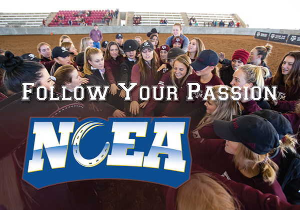 NCEA – Follow Your Passion