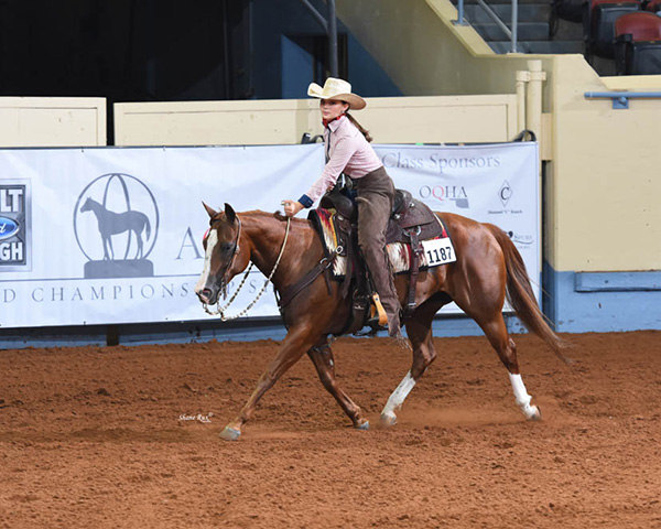 AQHA Youth Activities Scholarship