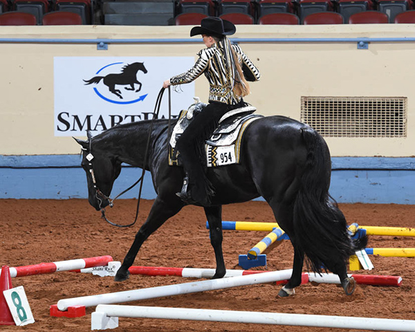 Entry Info For 2020 AQHA Youth World Show