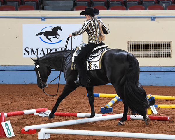 Entry Info For 2020 AQHA Youth World