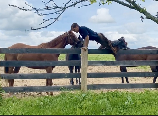 Using Push-Ups to Shed Light on Mental Health Struggles in Equine Industry