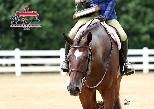 Stars N Stripes Closes With 7,500+ AQHA Entries