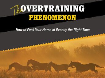 The Overtraining Phenomenon – How to Peak Your Horse at Exactly the Right Time