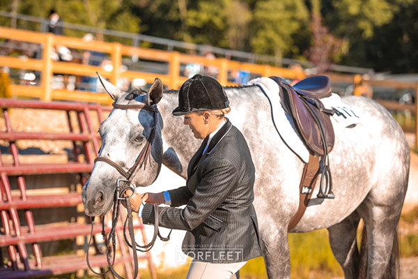 More Around the Ring Photos- Indiana Celebration- Part 3