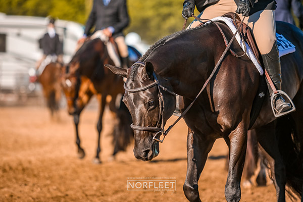 The Indiana Celebration Concludes With 10,000+ Entries During 10-Day Event