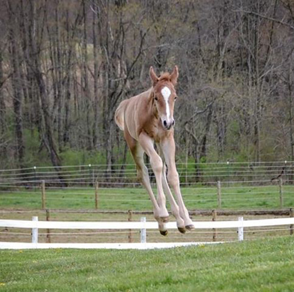 EC Photo of the Day- I Believe I Can Fly