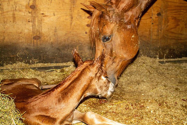 EC Photo of the Day- First Moments