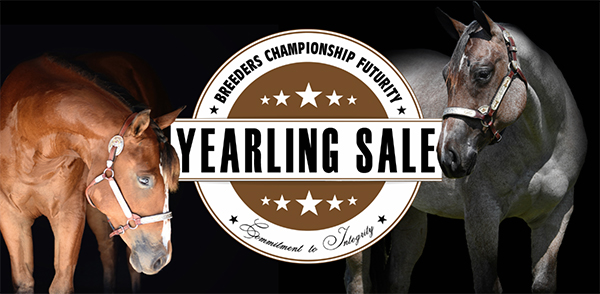 June 1st is Deadline to Enter 2020 NSBA BCF Yearling Sale