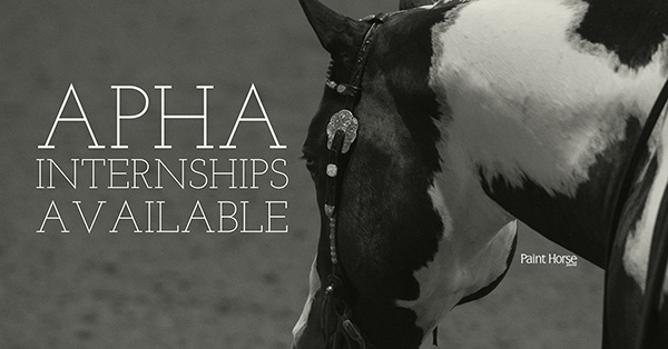 Get a Leg Up With an APHA Internship