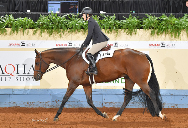 AQHA Introduces 6 New Classes