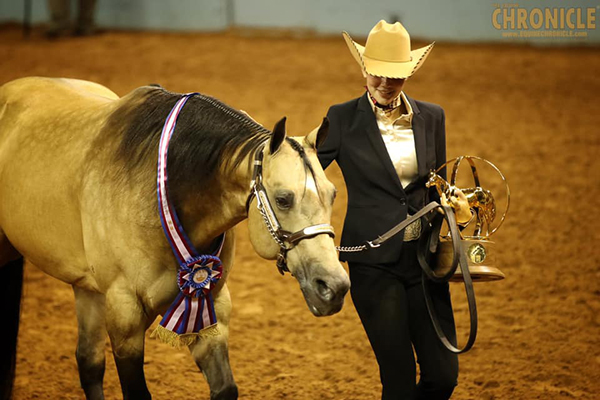 AQHA Youth Performance Halter World Champions Include Medows and Eddy