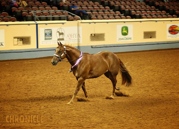 AQHA World Champions Include JoJo Roberson/14-18 Showmanship and Grant Mastin/14-18 L1 Western Riding