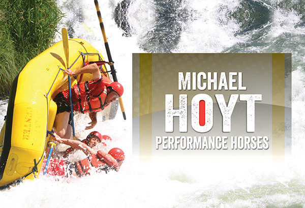 Michael Hoyt Performance Horses – Taking a Passion for Riding to the Next Level