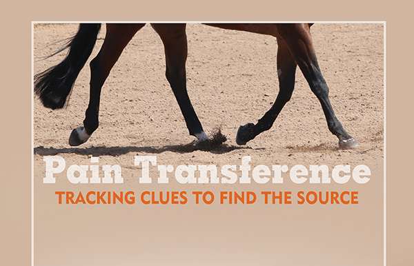 Pain Transference – Tracking Clues to Find the Source