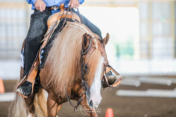 More Around the Ring Photos- IPHC Freedom Reins POR