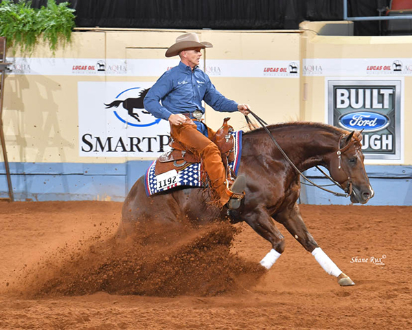 Keeping it Level at 2020 AQHA World Show