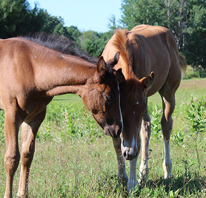 EC Photo of the Day- Brother From Another Mother