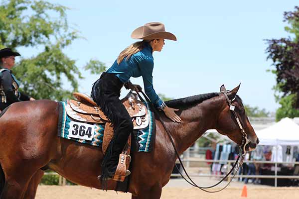 More Around the Rings- Goldmine California Gold Show