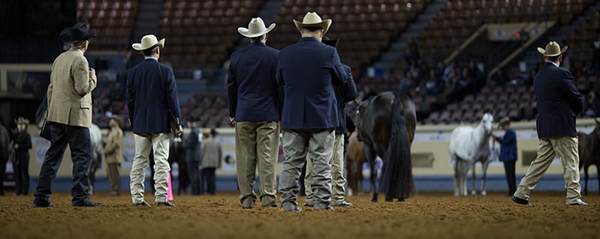 Congrats New AQHA Judges!