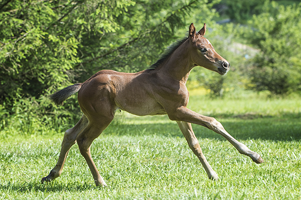 EC Photo of the Day- He’s Got the Moves