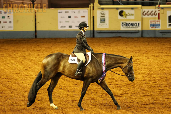 EC Cover Girl, Natalie Vargo, Wins 14-18 Hunter Under Saddle at AQHA Youth World