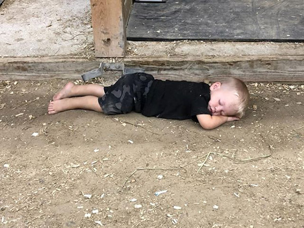 EC Photo of the Day- Barn Babies