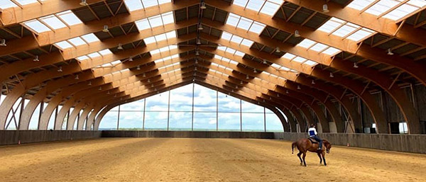 AQHA International Clinics Going Virtual