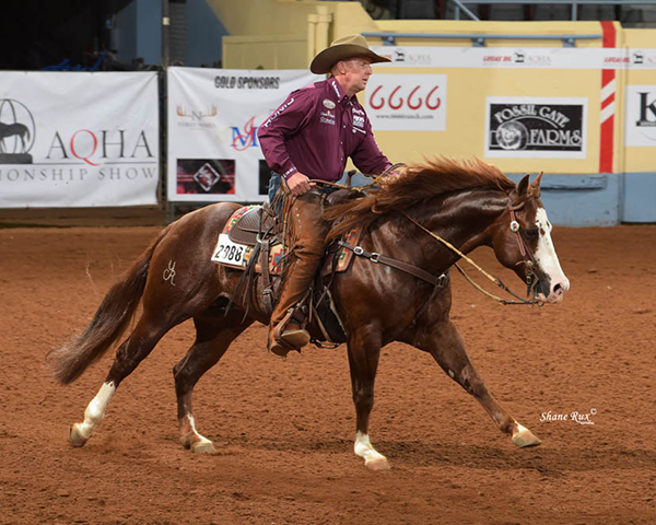 Working Western Rail Classes Added to AQHA World Show