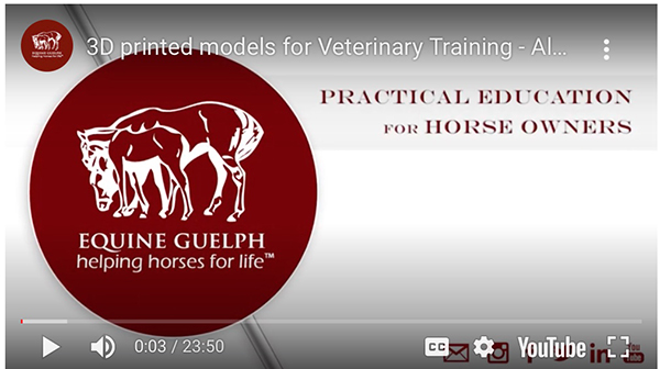 3-D Printing Research Creates Model of Equine Neck For Vet Training