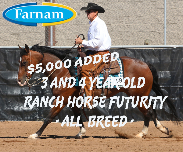 AZ Fall Championship- $5,000 3 & 4-Year-Old Ranch Horse Futurity