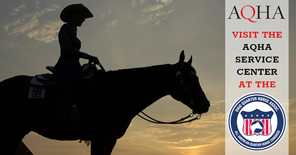 AQHA Opening Service Center at OQHA Office in Columbus