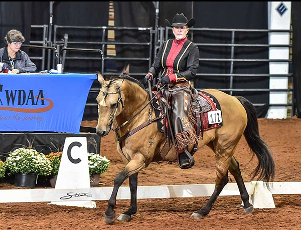 AQHA World Adds Dressage and Western Dressage Stakes