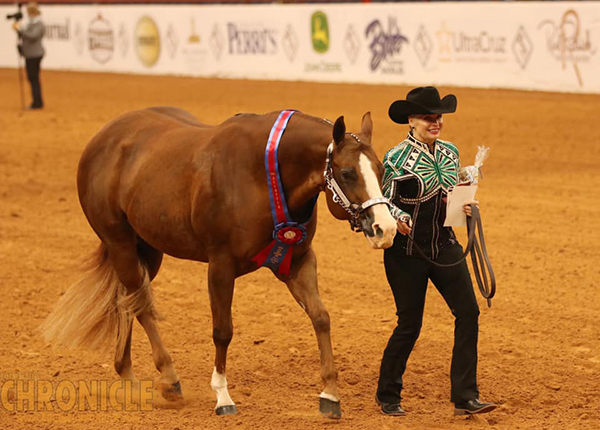 APHA World Champions are Stehney, Wacker, Basinger, Bladen