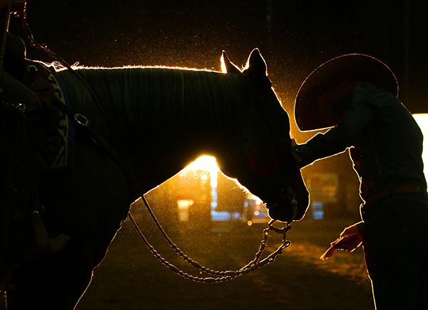 More Around the Ring Photos- AZ Fall Championship