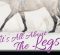 It’s All About the Legs – Proper Strides for Hunter Under Saddle It’s All About the Legs – Proper Strides for Hunter Under Saddle