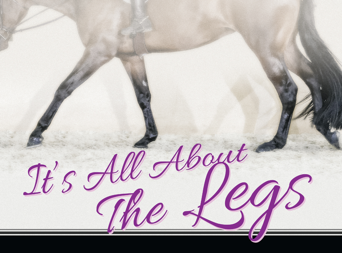 It’s All About the Legs – Proper Strides for Hunter Under Saddle