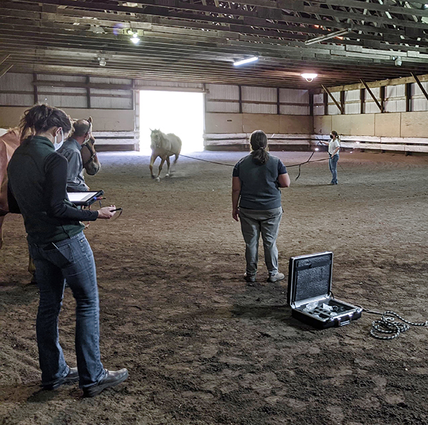 AQHA Horseman Participates in Study Specifically Focused on Performance Horses