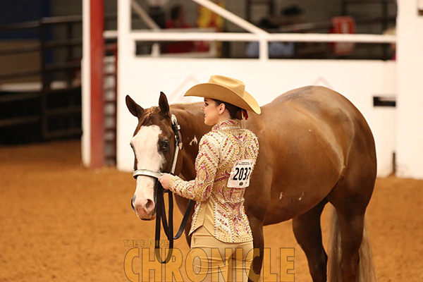 2020 APHA World Show Pattern Book Now Online