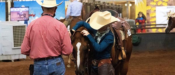 AQHA International Stewards Program Revived in 2020