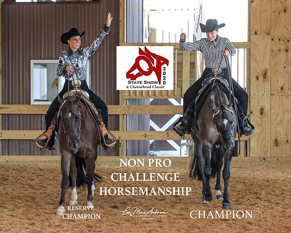 WQHA State Show and Cheesehead Classic Results and Photos