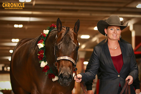 APHA World Champions Include Fox, Littlefield, Niebrugge, Hancock, and Carroll