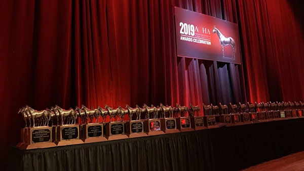 Modifications to 2020 AQHA Awards Celebration