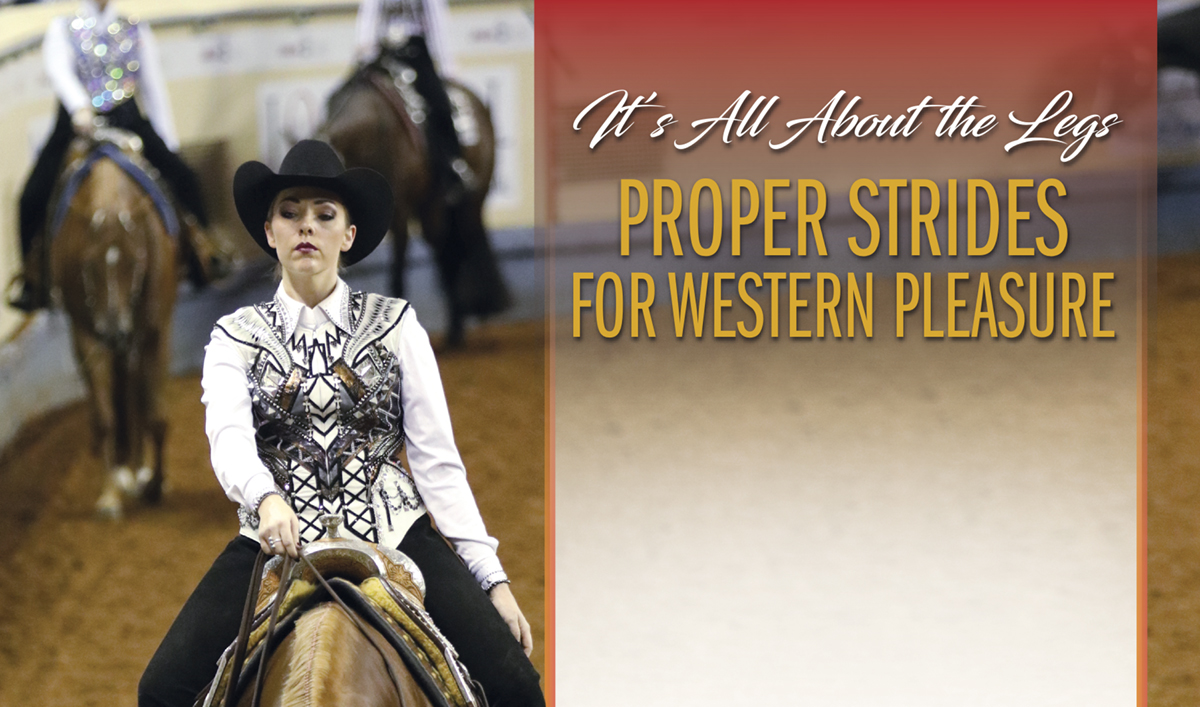 It’s All About the Legs – Proper Strides for Western Pleasure