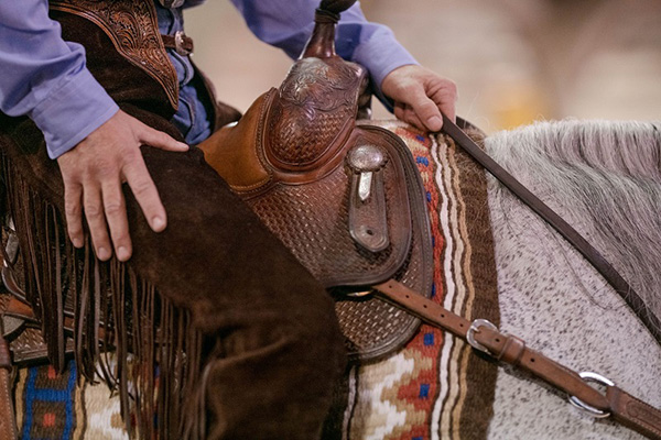 Triangle Sale Catalog Now Live For AQHA World Show